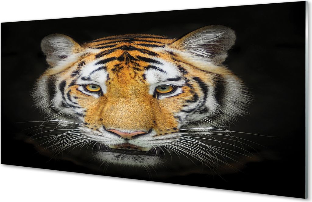 Spritzschutz 100x50 Wandkunst Tiger
