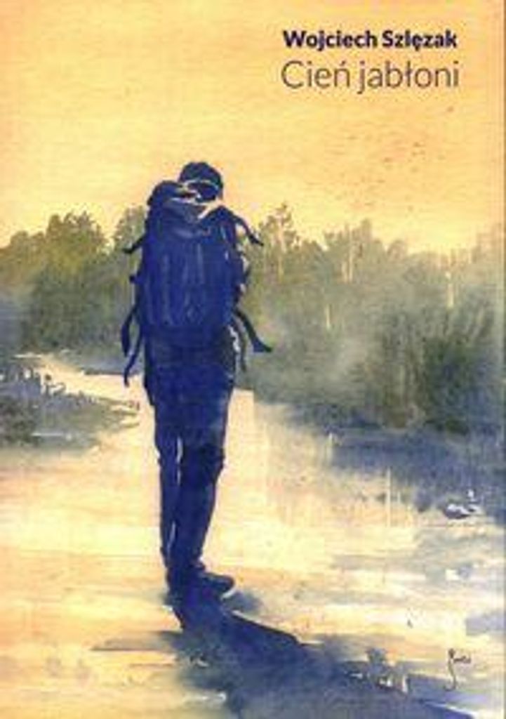 ISBN 978-83-622-4748-6, Polnisch, Taschenbuch, 240 Seiten