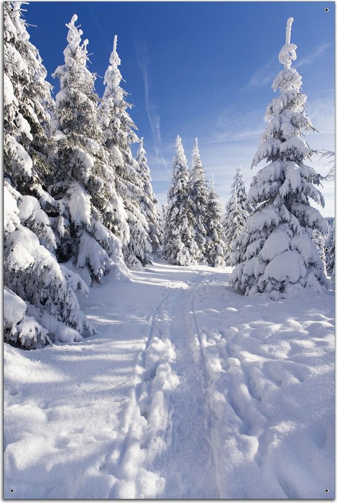 Wallario Outdoor-Poster für Garten oder Balkon, Motiv Wanderweg im Schnee, in ca. 61 x 91,50 cm