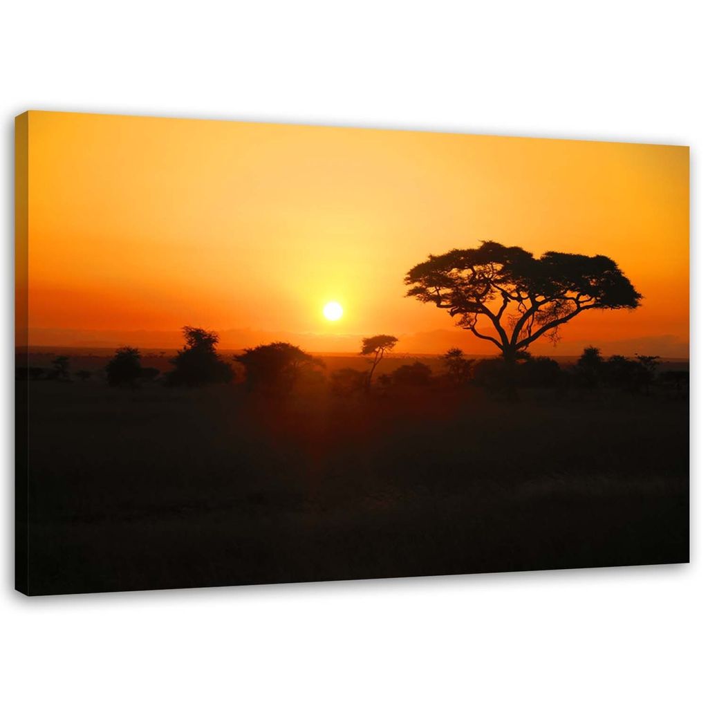 Leinwandbild afrikanischer sonnenuntergang 60x40 cm Feeby orange wandbild bereit zum aufhängen