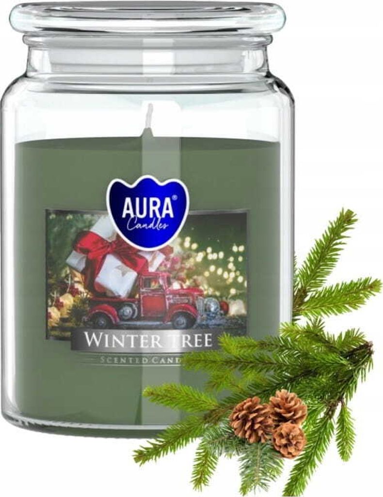 A large glass jar candle with a winter-themed label and a sprig of pine with pinecones.