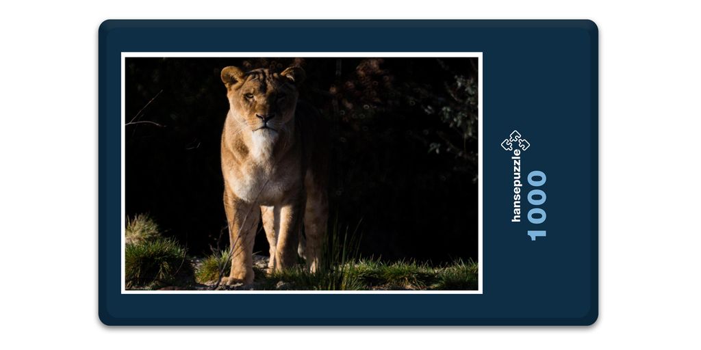 hansepuzzle 13650 - Löwe Puzzle, 1000 Teile, Natur, 60,0 x 46,0cm mit hochwertiger Aufbewahrung, Kartonbox und wiederverschließbarem Beutel