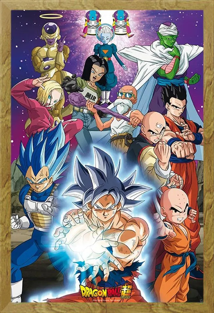 Cadre Mural Dragon Ball Super Univers 7 Shinsuke en Bois de Chêne Maxi