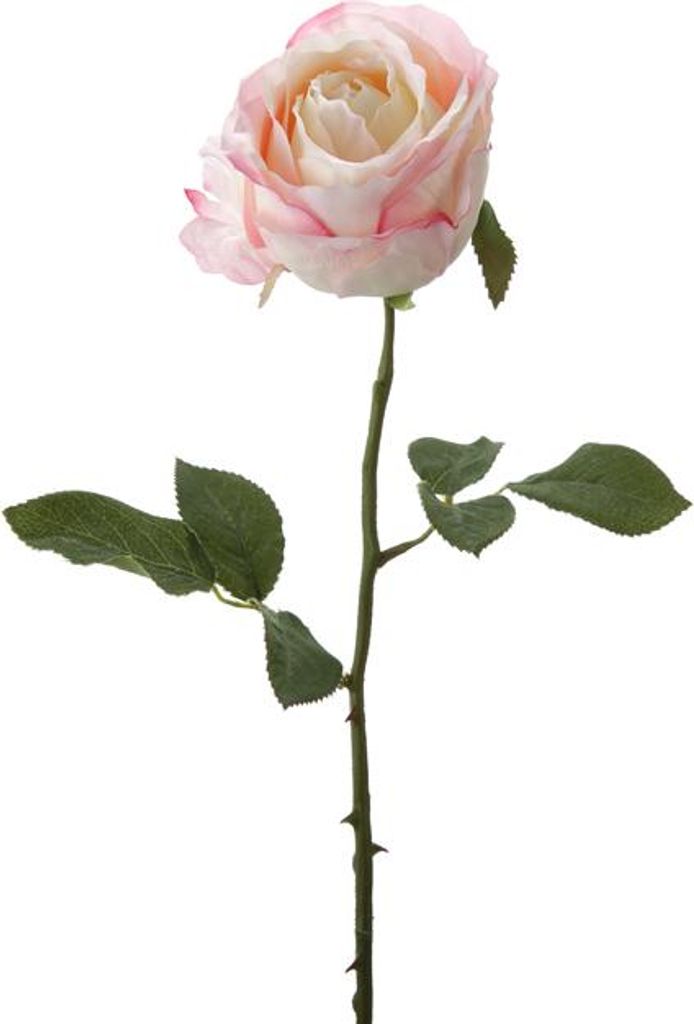 Fink ROSE, Kunstblume, Kunstfasern, soft pink, H. 60 cm Höhe: 60.00 cm 180066