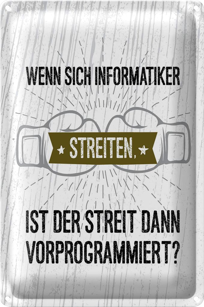 Blechschild Spruch Wenn sich Informatiker streiten 40x30cm