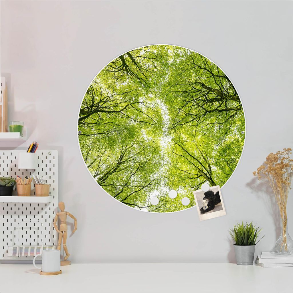 Design Stahlmagnettafel Weiß Rund 47cm Zwischen Bäumen