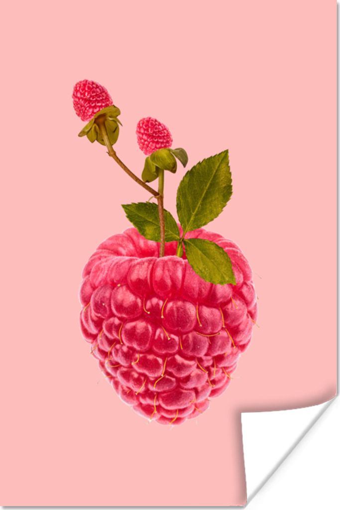 MuchoWow Poster Stilleben - Himbeere - Obst 80x120 cm - Papierdruck