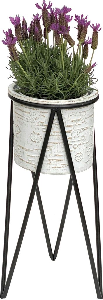 DanDiBo Blumenhocker mit Topf Metall Schwarz Weiß S 50 cm Blumenständer 96043 Blumensäule Modern Pflanzenständer Pflanzenhocker