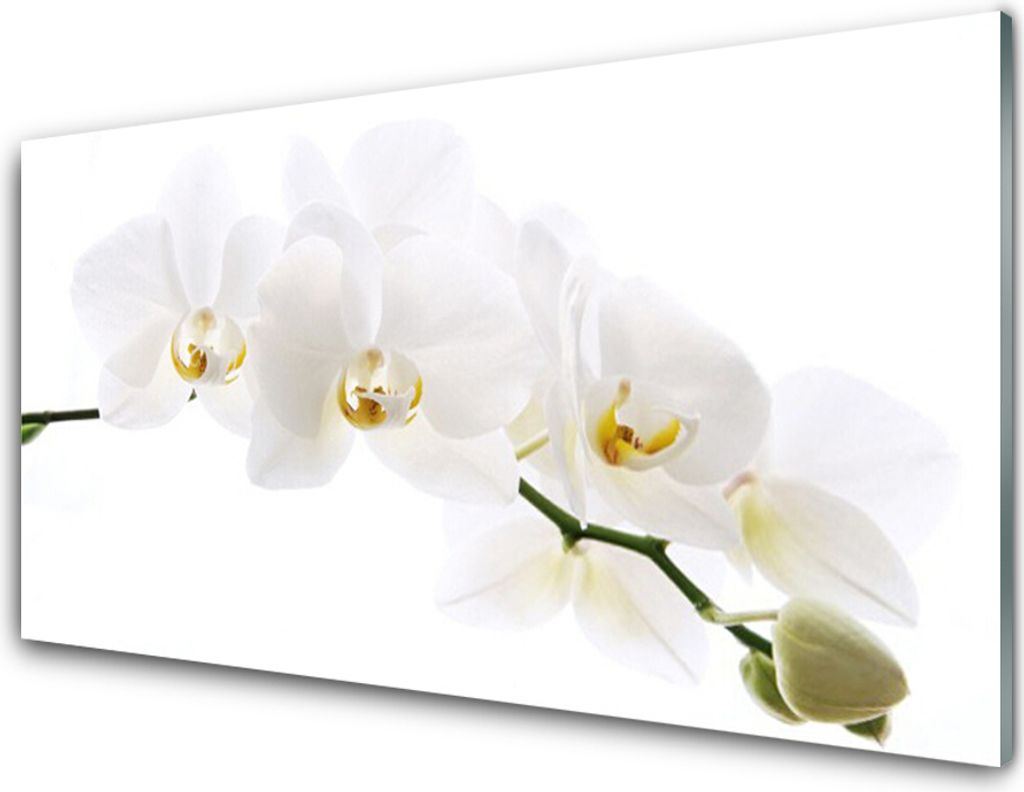 Acrylglasbilder 100x50 Wandbild Druck Blumen Pflanzen Produktbild 