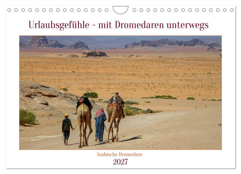Urlaubsgefühle - mit Dromedaren unterwegs (Wandkalender 2027 DIN A4 quer), CALVENDO Monatskalender
