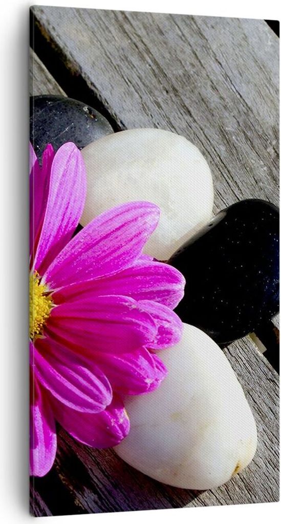 Bild auf Leinwand - Leinwandbild - Stein Blume Blütenblätter Chrysantheme - 55x100cm - Wand Bild - Wanddeko - Leinwanddruck - Bilder - Kunstdruck...