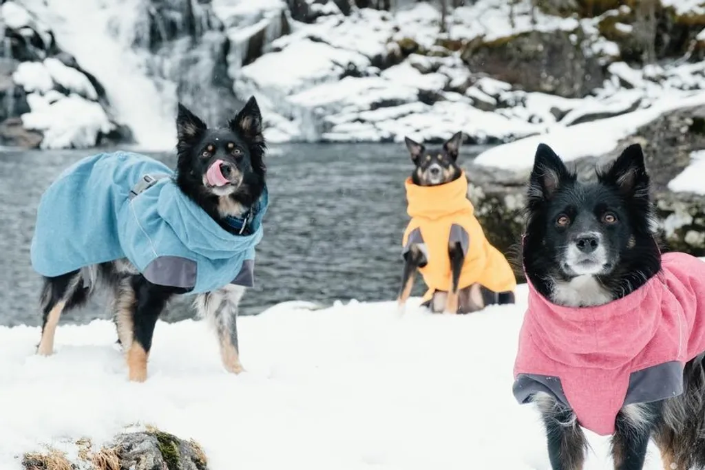 Hurtta Expedition Parka 60 Grigio: Il Top di Gamma Invernale Cane - 6