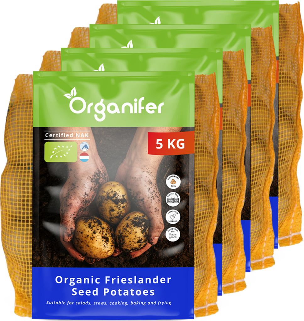 Saatkartoffeln Frieslander A 28/35 (20 kg) - Organifer
