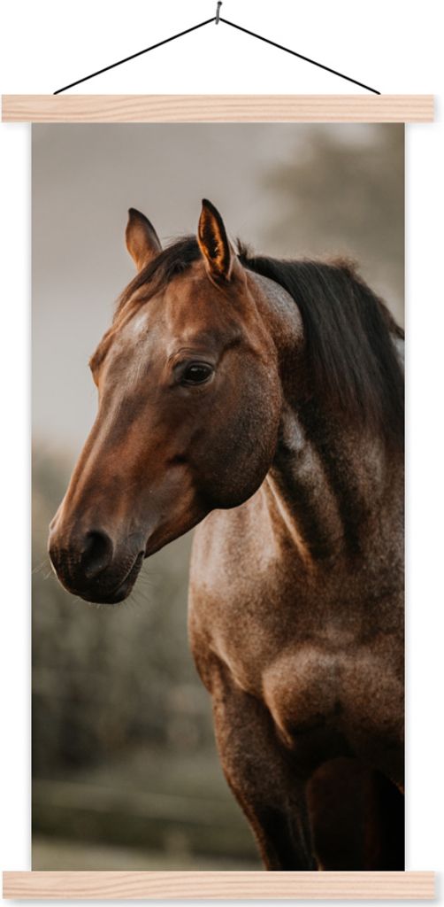 MuchoWow Textilposter Pferd - Licht - Wald 60x120 cm mit holzfarbenen Rahmen - Holz