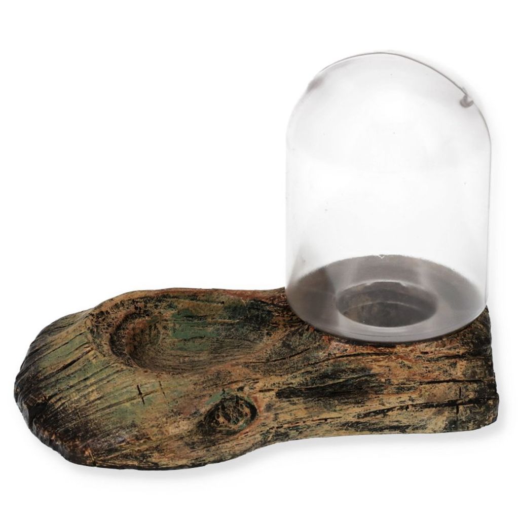 Salyeeluly Reptilien-Wasserspender - Trinknapf Für Geckos, Eidechsen & Schildkröten