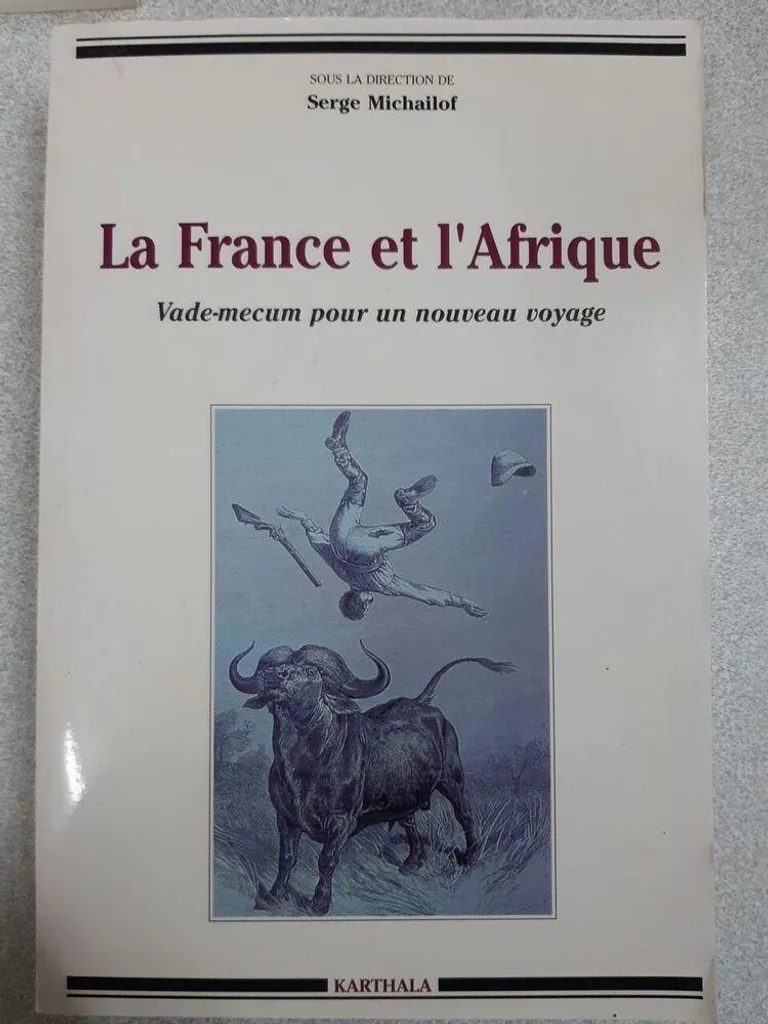 Livre Géopolitique La France et l'Afrique : Vade-mecum Nouveau Voyage