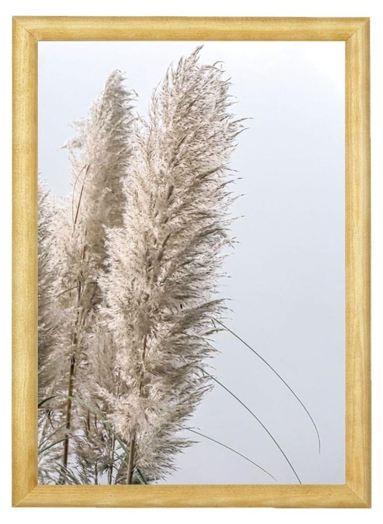 Modernes Poster in Holzrahmen 20x30 - Pampass Gras