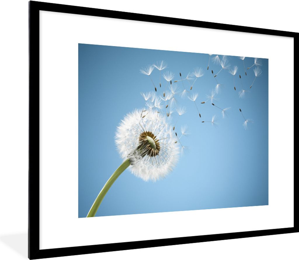 MuchoWow Gerahmtes Poster Löwenzahn - Saatgut - Luft 80x60 cm - Poster mit Schwarzem Bilderrahmen Wandposter Rahmen Foto Bilder - Schlafzimmer-D...