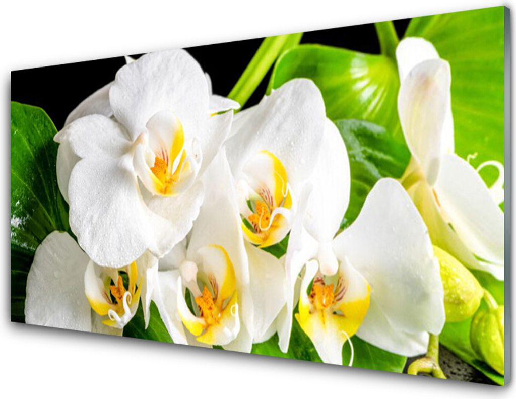 Küchenrückwand aus Glas 100x50cm Spritzschutz Blumen Blätter Pflanzen