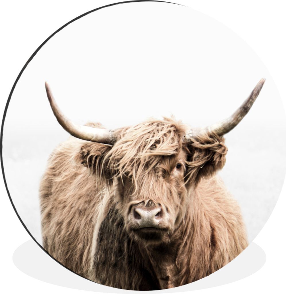 MuchoWow Aluminium Wandkreis Porträt Schottischer Highlander - Tiere Ø 30 cm Wanddeko Modern Wohnzimmer - Wand Bild - Wohnzimmer - Runde Bilder...