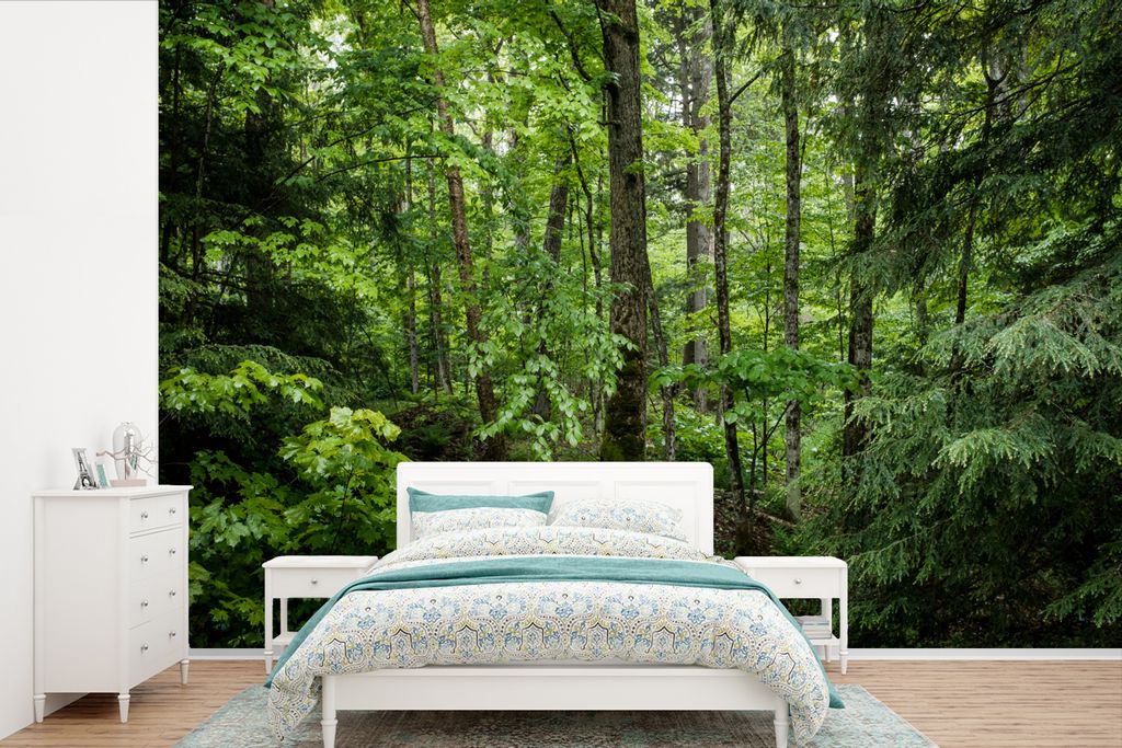 MuchoWow Fototapete für Wohnzimmer oder Schlafzimmer Wandtapete Vinyl Motivtapete Wald - Baum - Grün - 525x350 cm - Das Hintergrundbild