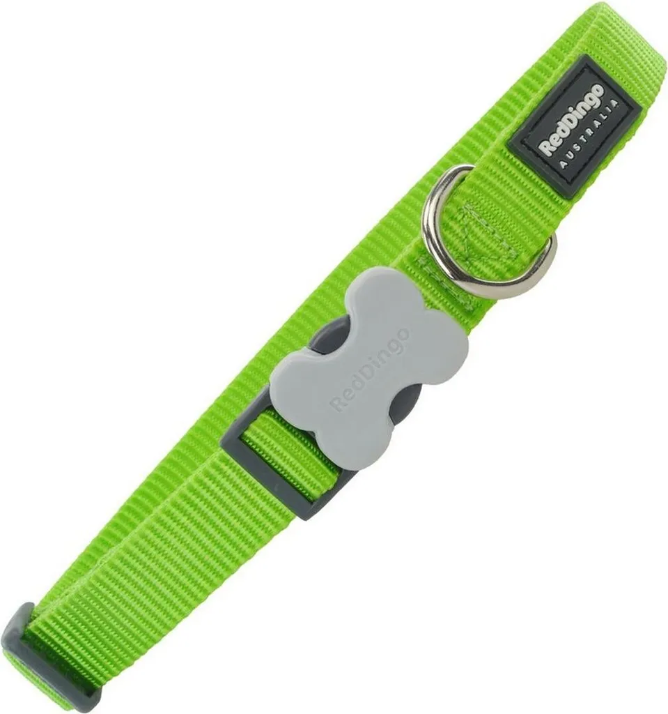 Red Dingo Collare Cane 24-37 cm Verde Fluo - Qualità Professionale