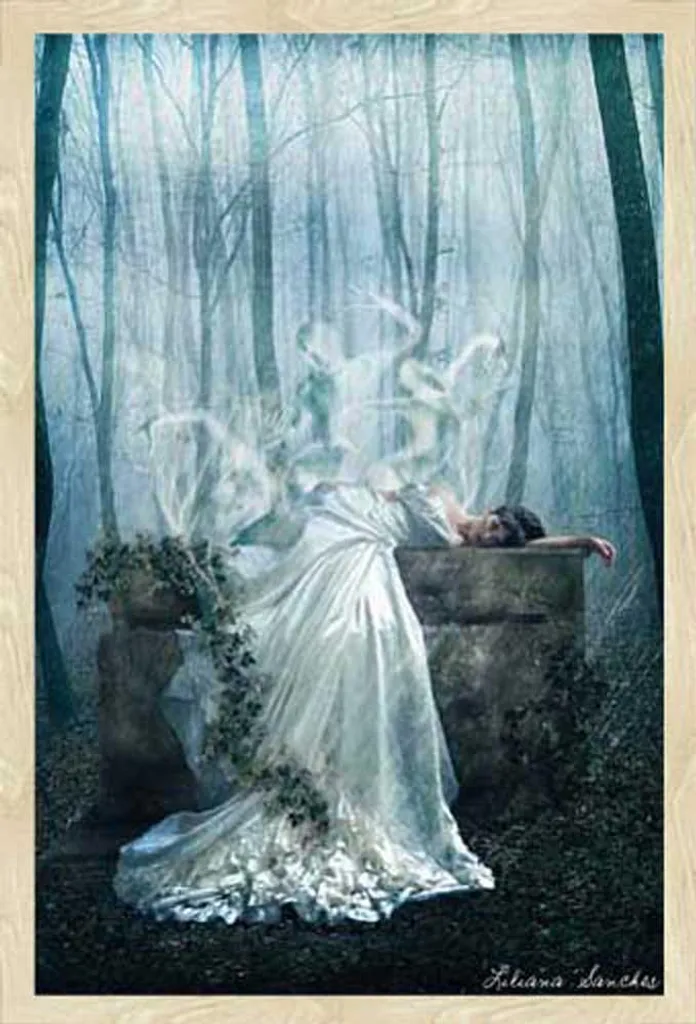 Poster Fantasy Her Demise Liliana Sanches Cornice Shinsuke Rovere