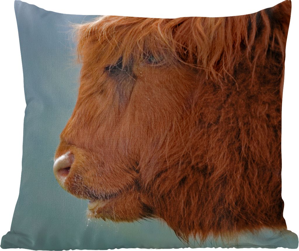 MuchoWow Zierkissen Sofakissen Wohnzimmer Dekokissen 60x60 cm Schottische Hochlandrind - Tiere - Nebel - Sitzfläche - Foto Polster