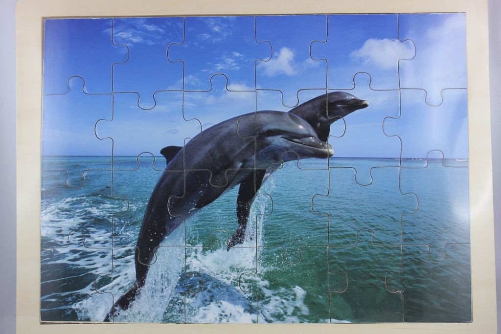 Out of the blue - 76/6037 - Rahmenpuzzle, Holz, Delphine, 24 Teile, ab 3 Jahre, 22cm x 30cm