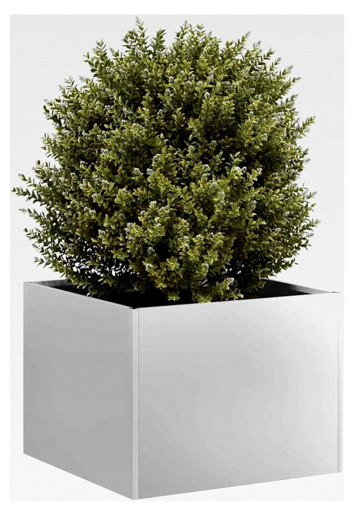 Pflanzgefäß 40x40x30 cm aus verzinktem Stahl