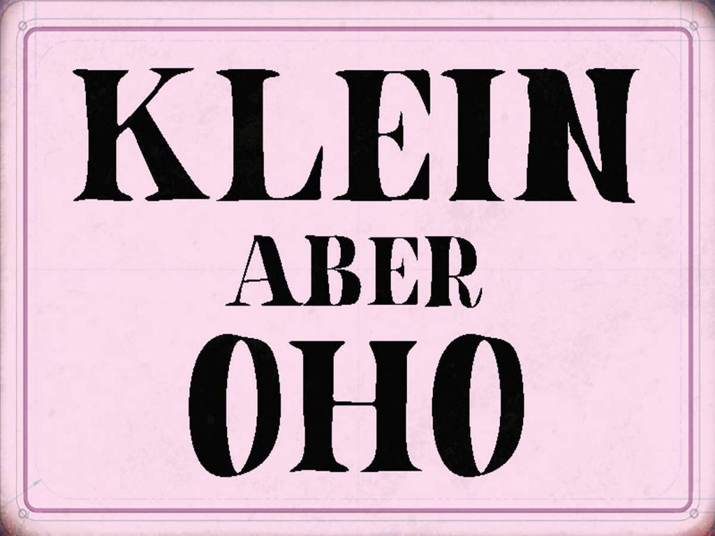 vianmo Holzschild 30x40 cm klein aber Oho