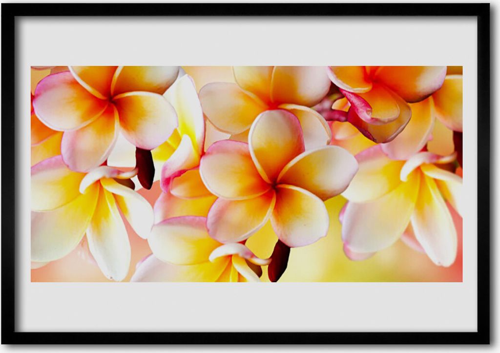 Bild 100x70 MDF-Rahmen Wandkunst Blumen Pflanzen Natur