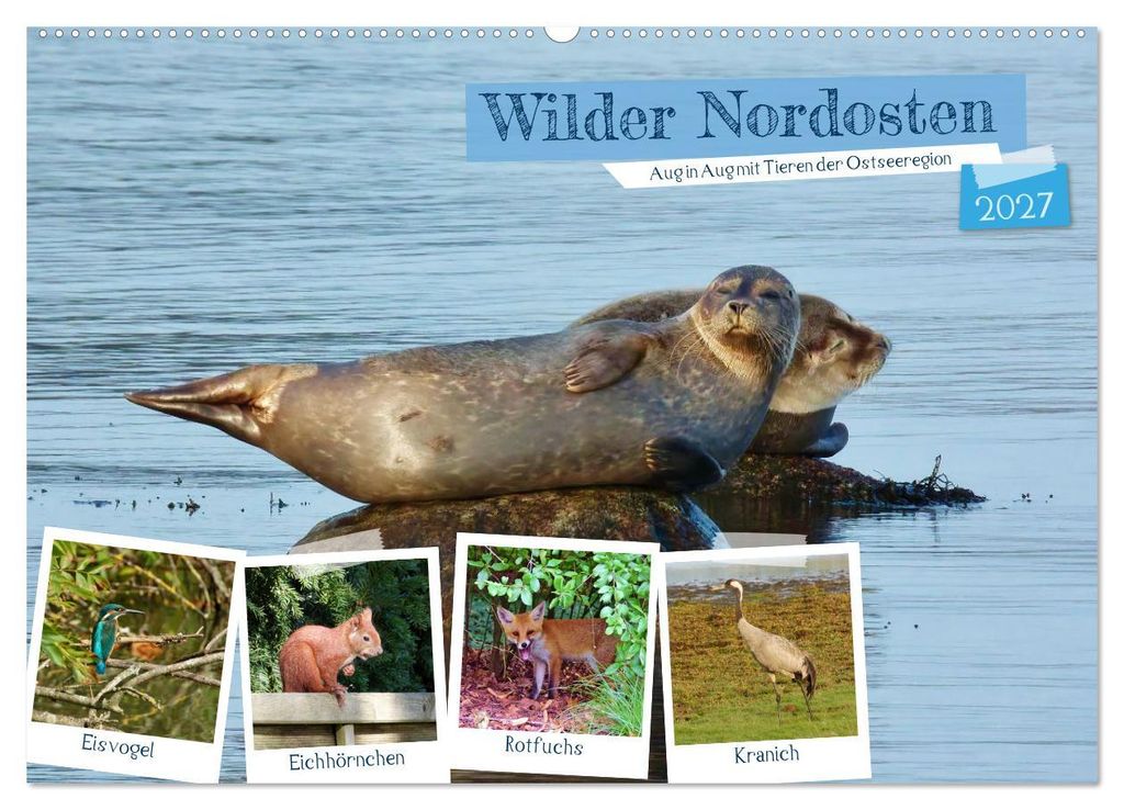 Wilder Nordosten - Aug in Aug mit Tieren der Ostseeregion (Wandkalender 2027 DIN A2 quer), CALVENDO Monatskalender