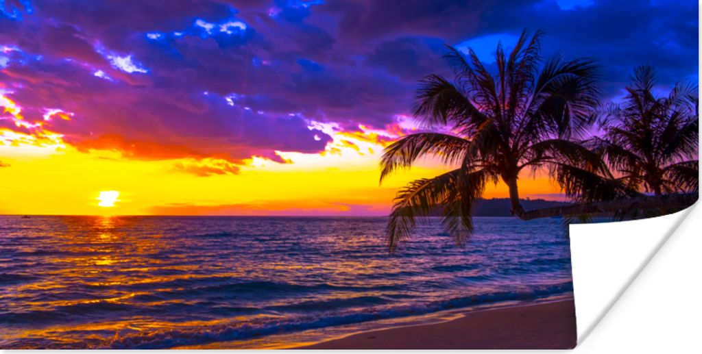 MuchoWow Poster Palme - Lila - Sonnenuntergang - Strand - Meer 160x80 cm - Foto Poster