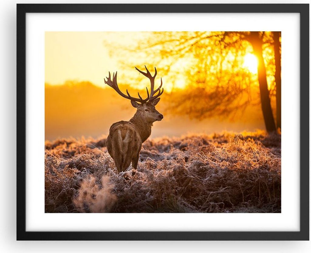 Gerahmtes Poster - Schwarzer Rahmen - Herbst landschaft natur blatt - 50x40 cm - Wand Bild - Wanddeko - Wandbilder - Wandposter - Bilderrahmen - Bi...