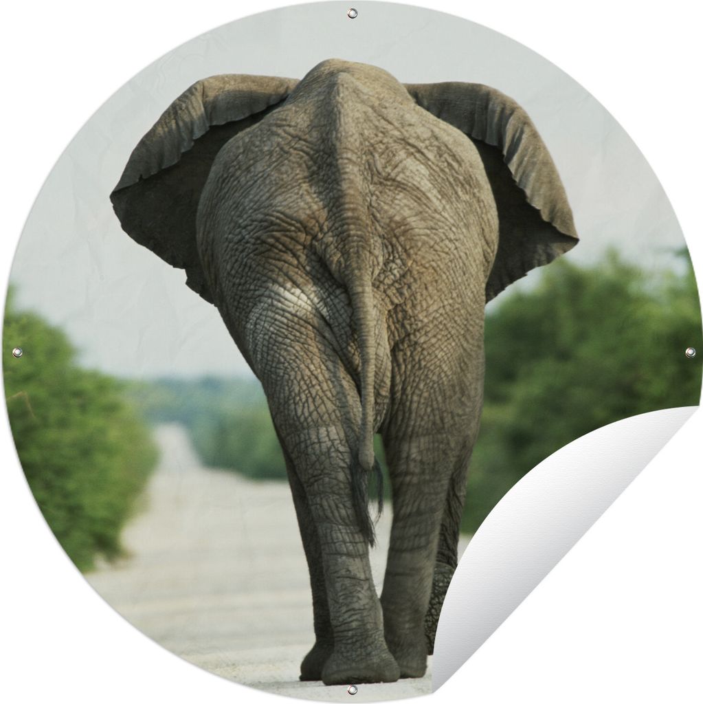 MuchoWow Gartenposter Outdoor-Poster Rund Rücken eines Elefanten Ø 120 cm Gartendeko Rundes Poster draußen