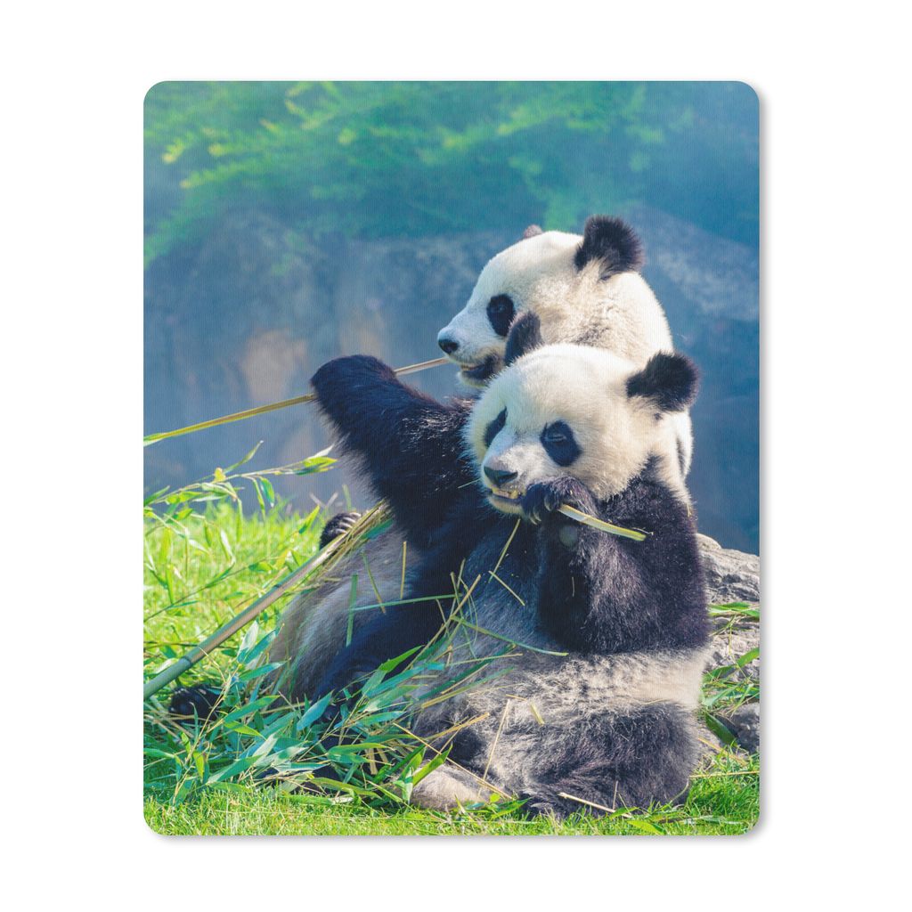 MuchoWow Mauspad Mousepad Panda - Bambus - Gras - Tiere 30x40 cm - Mousepads - Maus Mat - Pad - Mausunterlage - Mausmatten