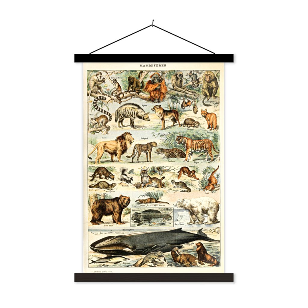 MuchoWow Textilposter Tiere - Vintage - Adolphe Millot - Tiger - Löwe 120x180 cm mit schwarzem Rahmen - Fotos