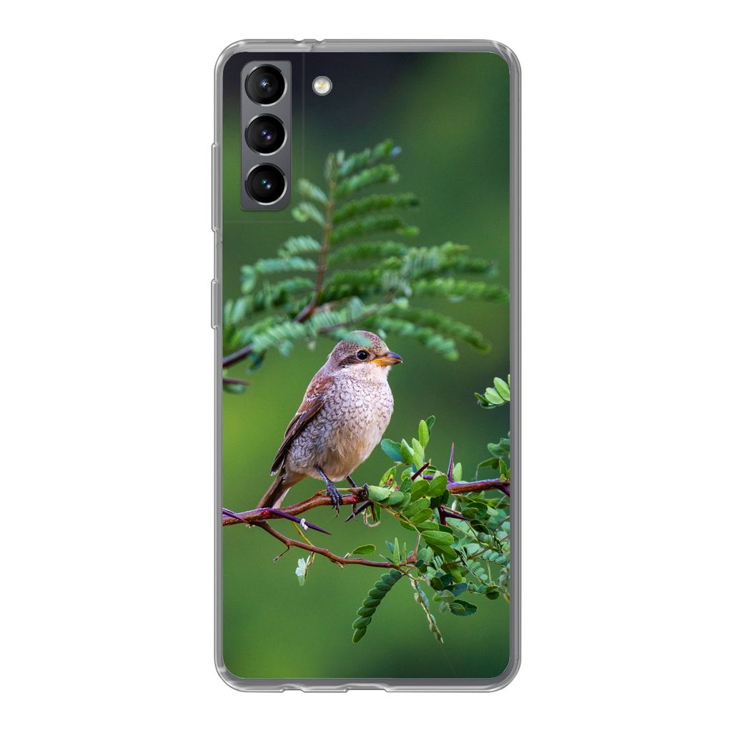 MuchoWow Handyhülle Schutzhülle Hülle für Samsung Galaxy S21 Plus Vogel - Baum - Wald Silikon Softcase Handy Hülle - Handy-Tasche