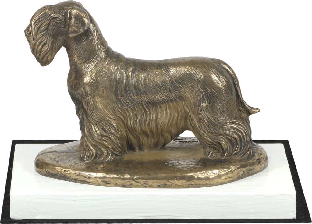 Tschechischer Terrier, Böhmischer Terrier, Český Teriér - Hundestatue, Figur auf weißem Sockel, Trophäe für die Art-Dog-Hundeaustellung.