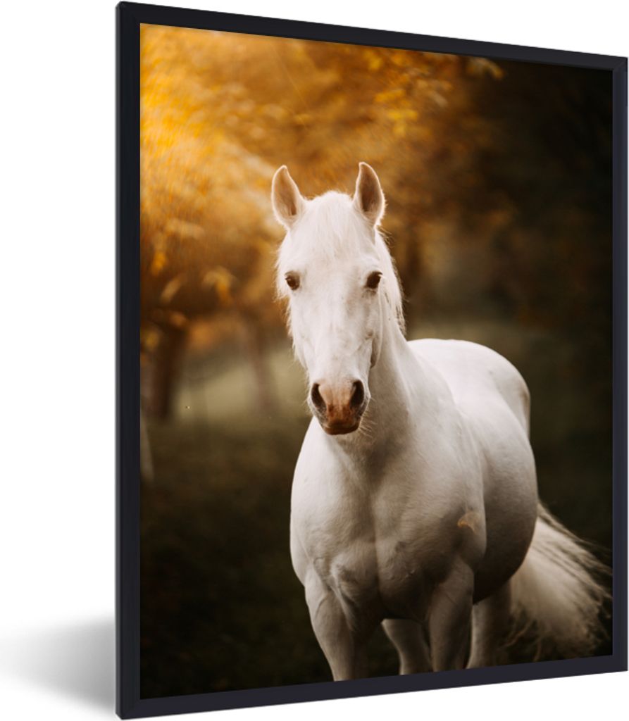 MuchoWow Gerahmtes Poster Pferd - Licht - Sonne 60x80 cm - Poster mit Schwarzem Bilderrahmen Wandposter Rahmen Foto Bilder - Premium - Wanddeko W...