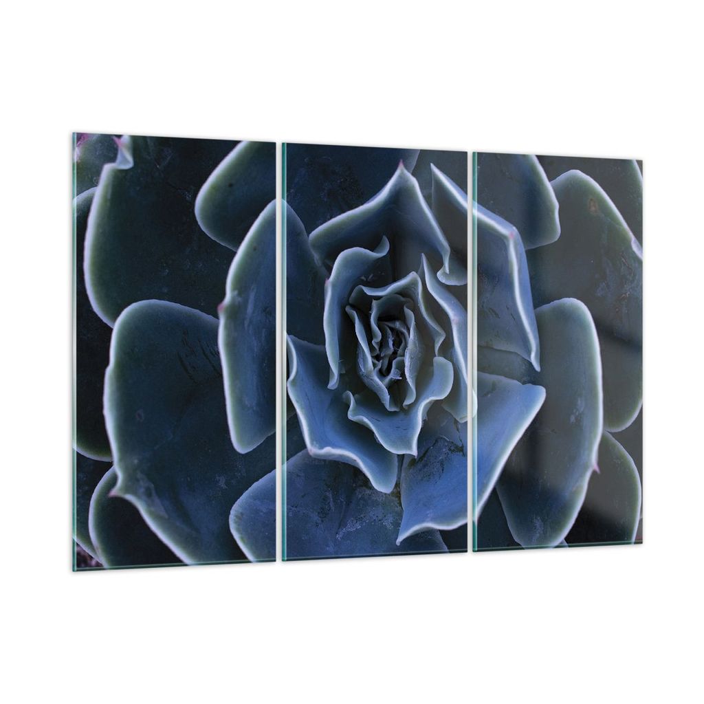 Bilder auf glas - 3 Teile - Blau Kaktus Blume - 165x110cm - Glasbilder - Wandbilder - Bilder - zum Aufhängen bereit - Wanddekoration aus Glas - Gl...