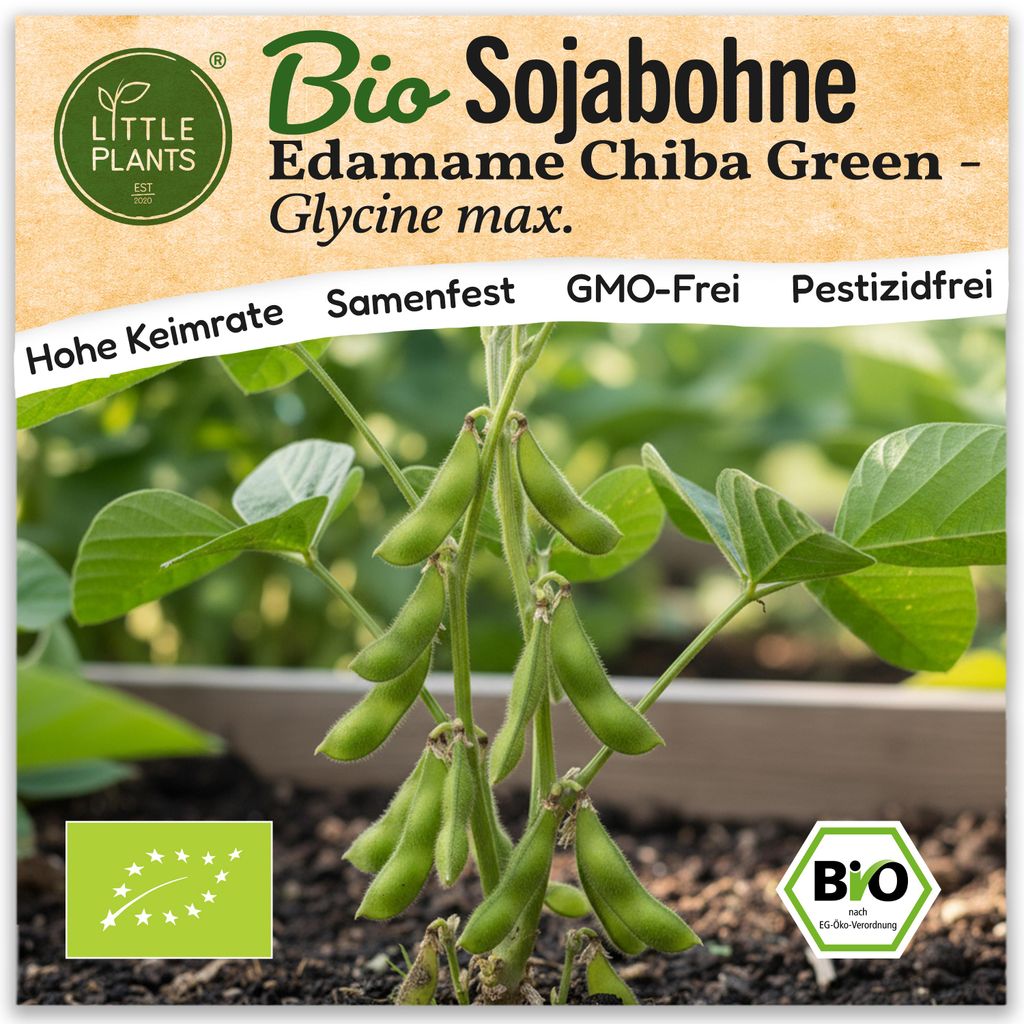 Sojabohne Samen (BIO) – 10 Samen Gemüsesamen Sojabohnensamen Edamame Chiba Green