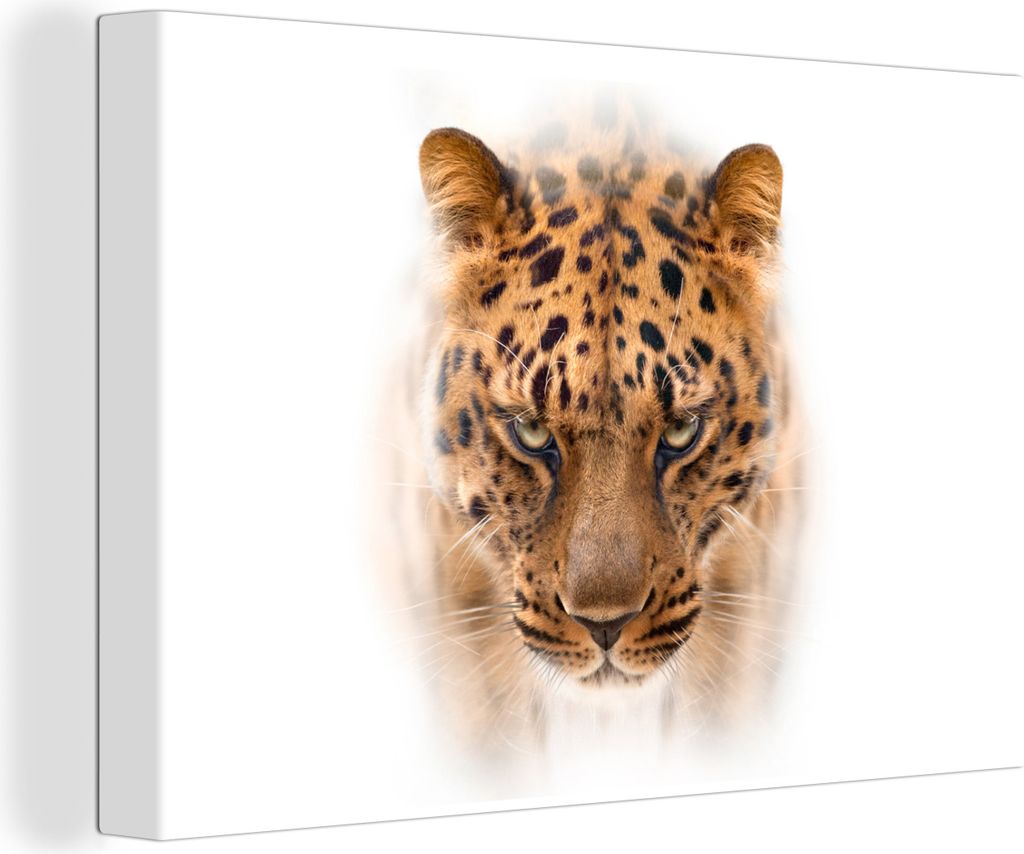 OneMillionCanvasses - Leinwandbilder - 150x100 cm, Leopard - Weiß - Gesicht, Wandbilder Kunstdruck Wanddekoration