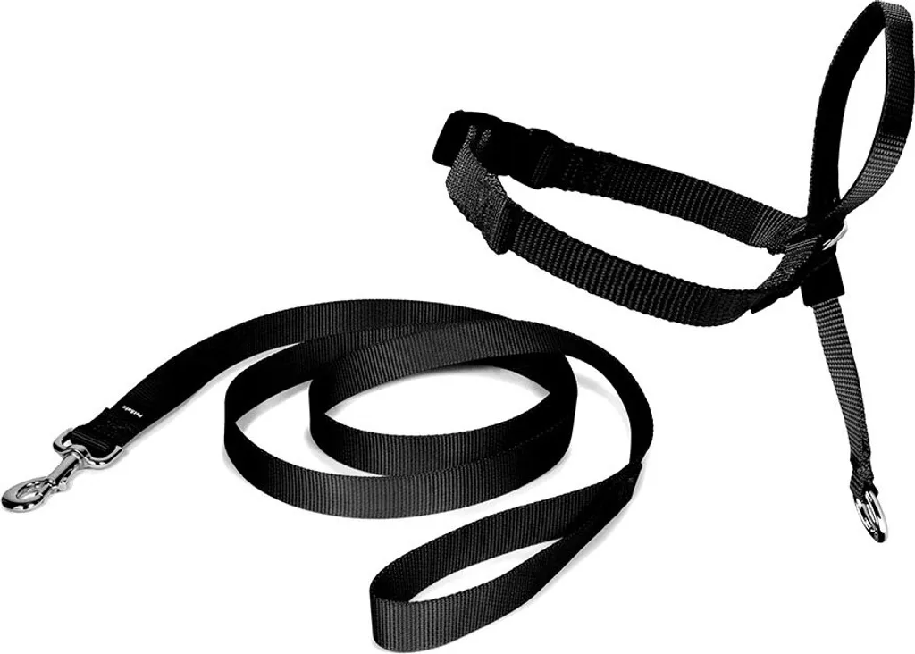 Laisse de Dressage Easy Walk Holder Nayeco L pour Marcher au Pied Noir