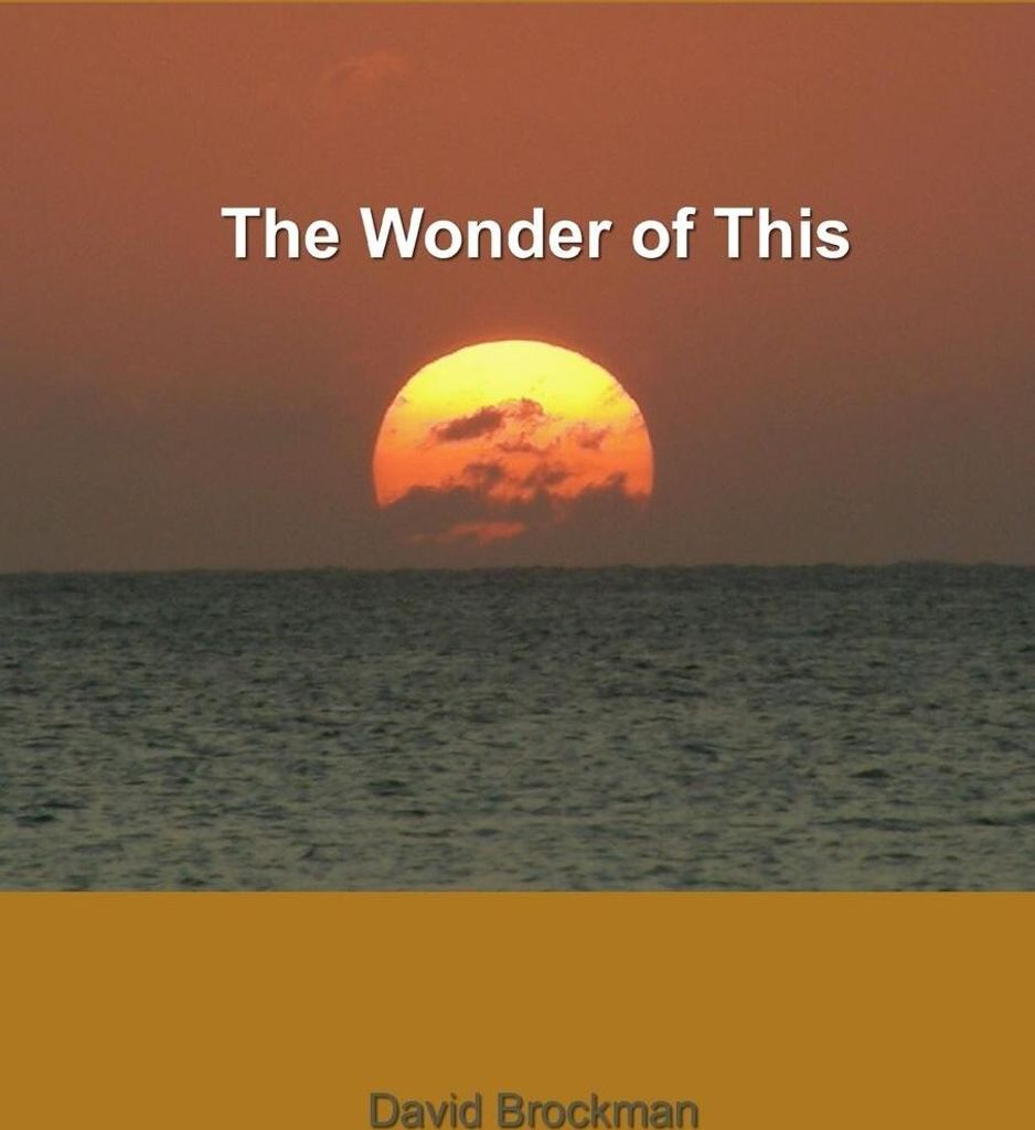 the wonder of this