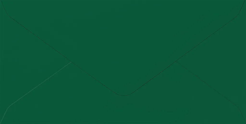 Enveloppe Longue 110x220 mm Vert Sapin Heyda pour Invitation et Vœux