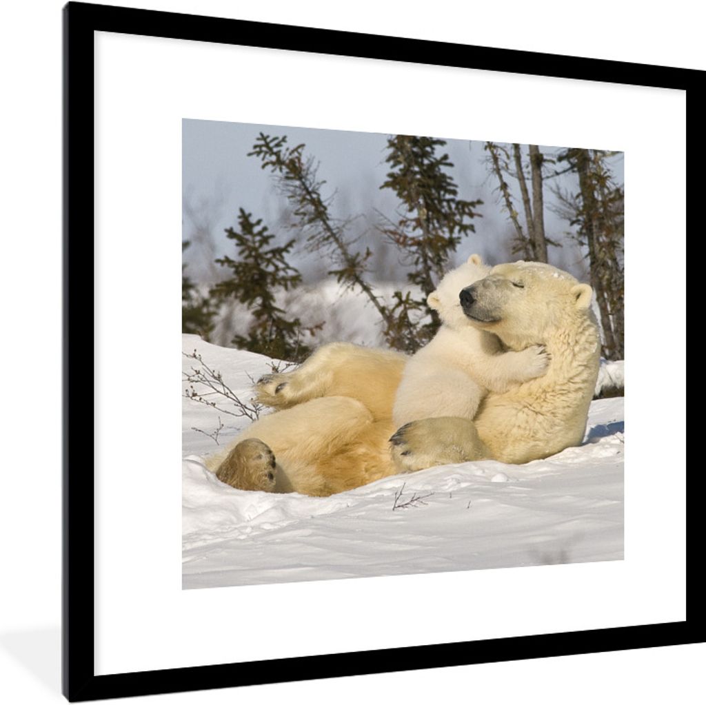 MuchoWow Gerahmtes Poster Eisbär - Schnee - Höhle - Jungtier 40x40 cm - Poster mit Schwarzem Bilderrahmen Wandposter Rahmen Foto Bilder - Poste...