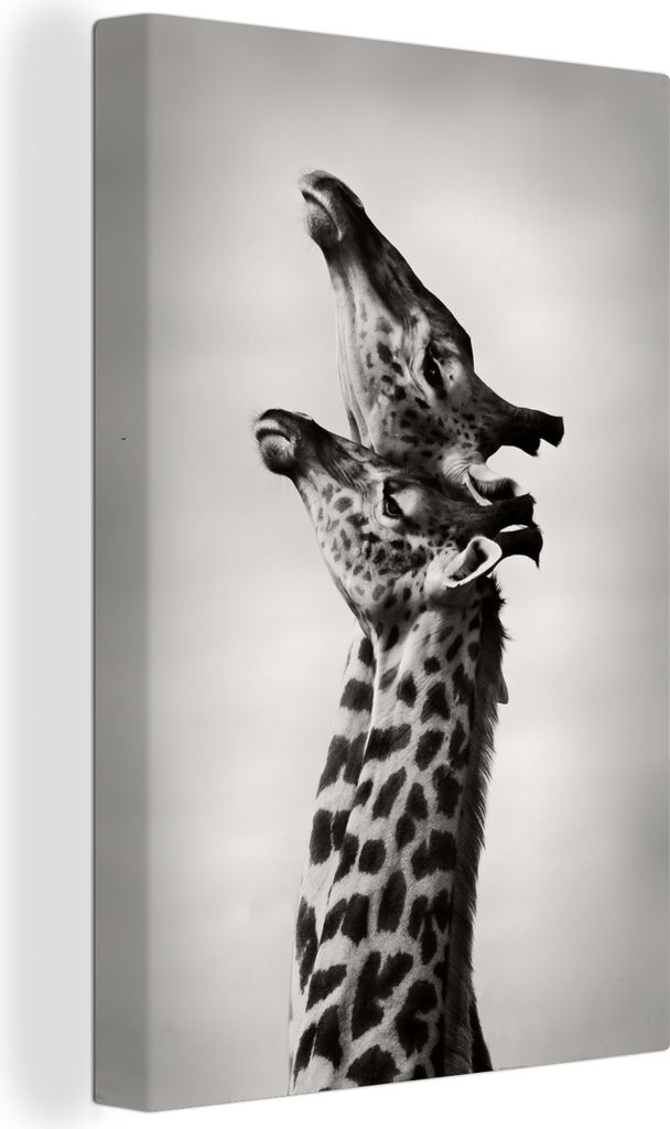 OneMillionCanvasses - Leinwandbilder - 90x140 cm, Giraffen - Liebe - Schwarz und weiß, Wandbilder Kunstdruck Wanddekoration - Wandschmucke - Sch...