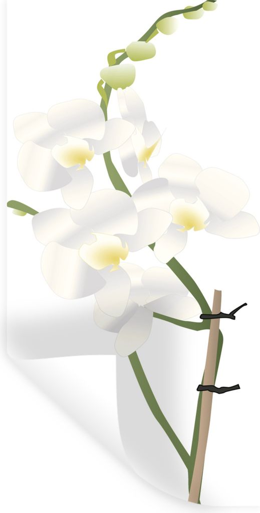 MuchoWow - Repositionierbar - Wasser abweisend